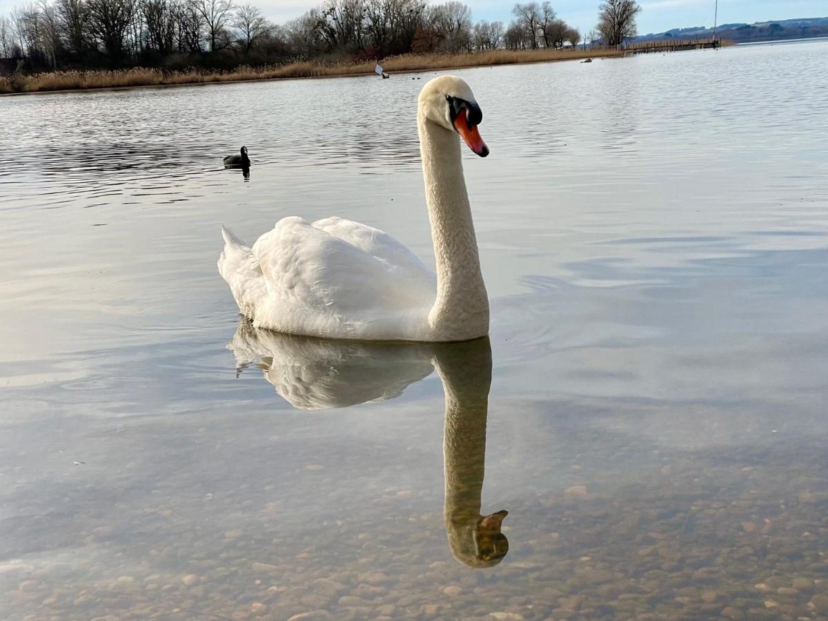 Ferienwohnung Am Chiemsee Übersee Eksteriør billede